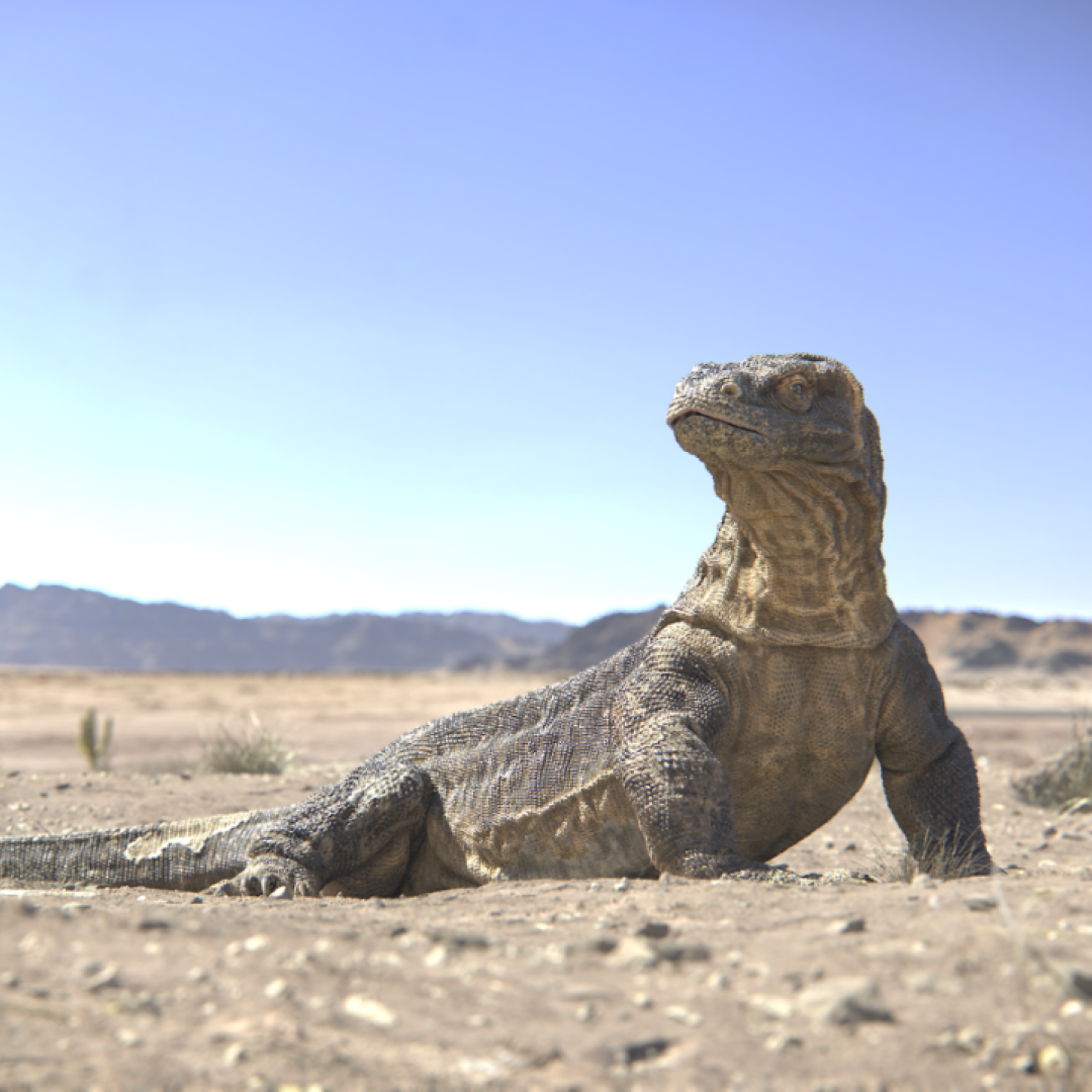 Komodo